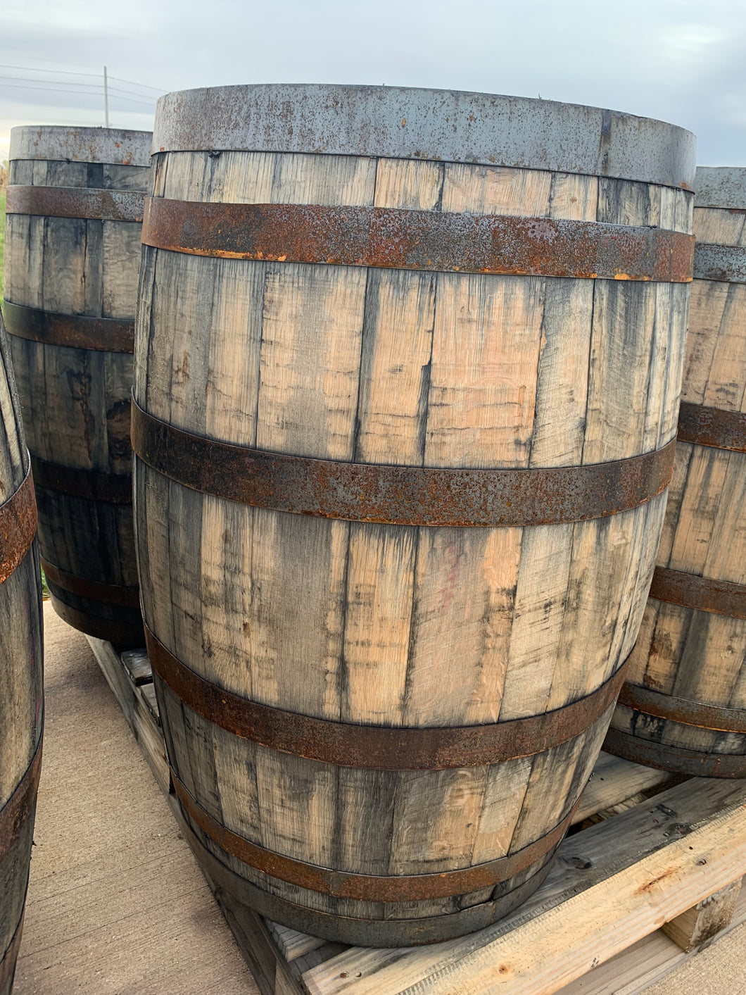 Whiskey Barrel 53 gal. - Used & Empty *SALE*